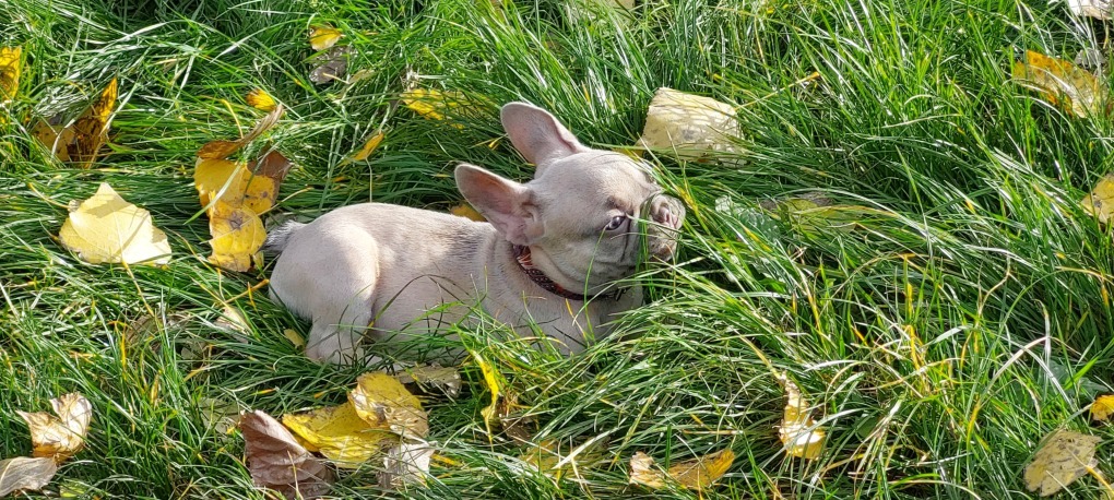 Dörte from the Brilliant Bullys